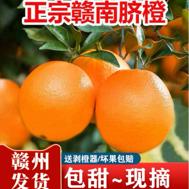 【江西产地直发】会昌赣南脐橙现摘现发9.5分甜0.5分微微果酸