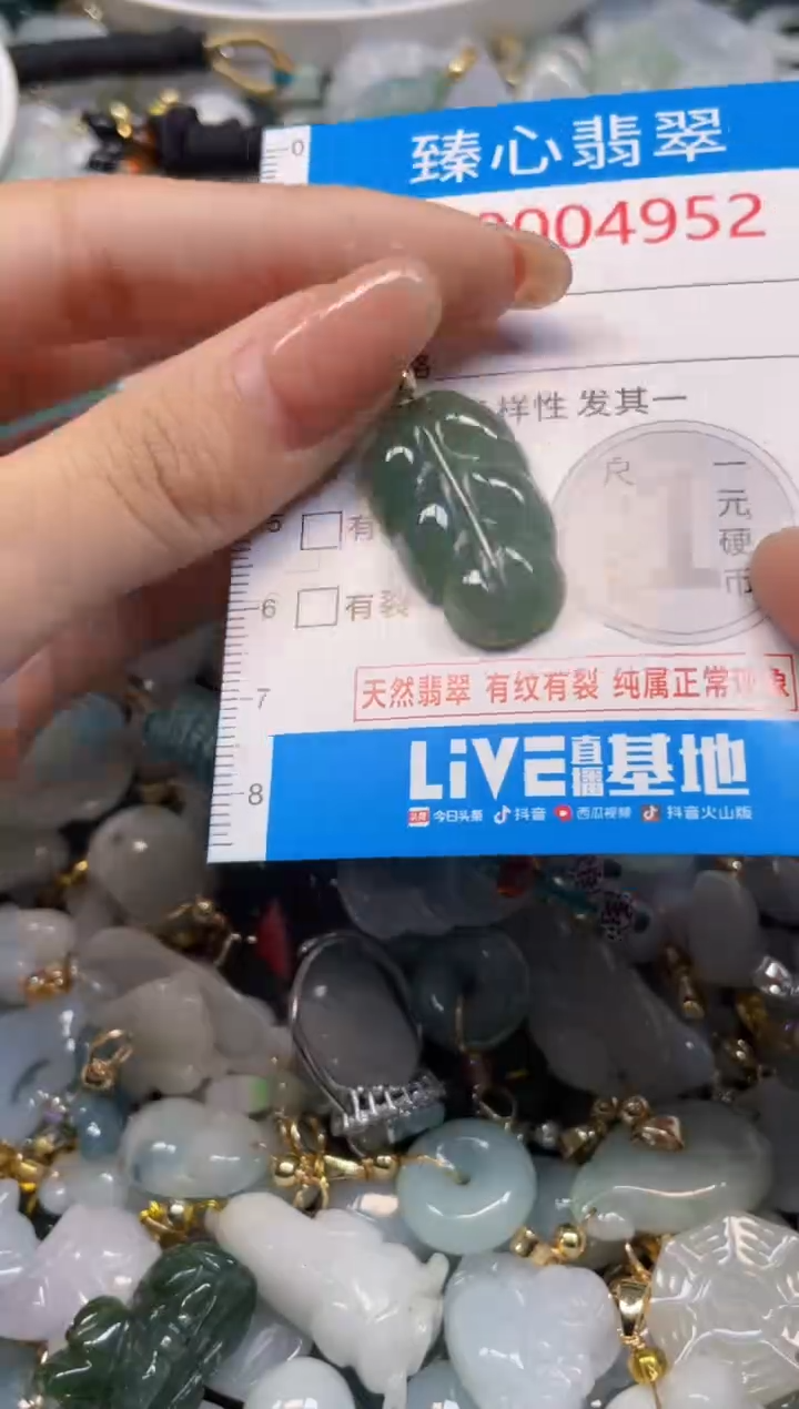 颈饰未镶嵌翡翠4952