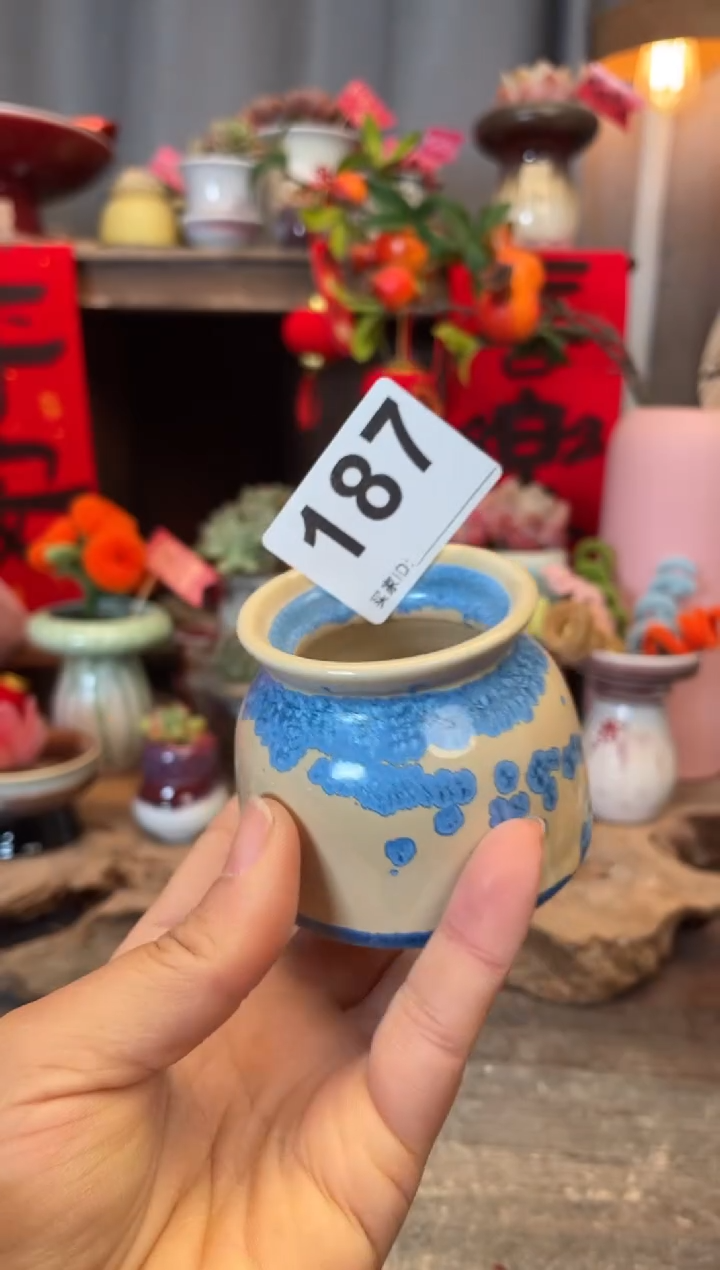 【闪购商品】摆件187知木小芳花盆