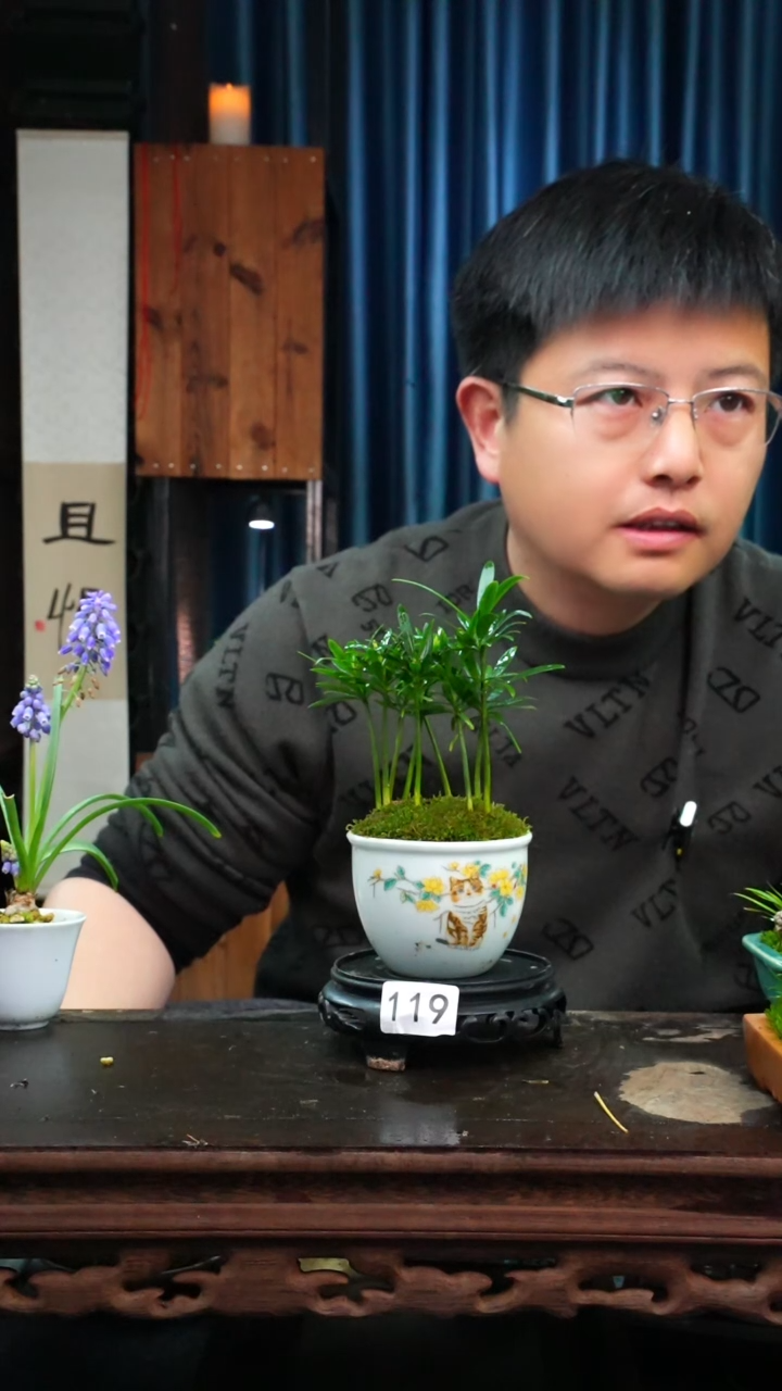 【闪购商品】苔藓微景观119号