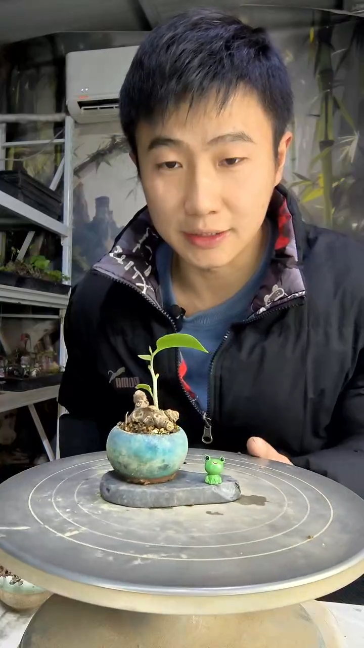浅*塘中青园艺一物一拍139