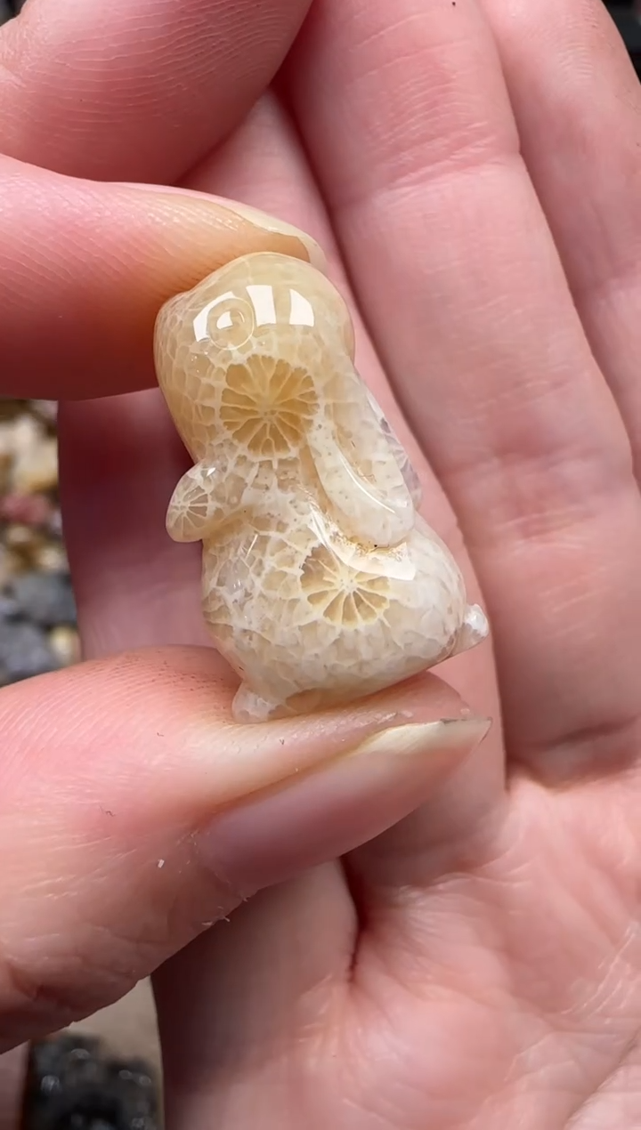 颈饰未镶嵌硅化珊瑚（珊瑚玉）368