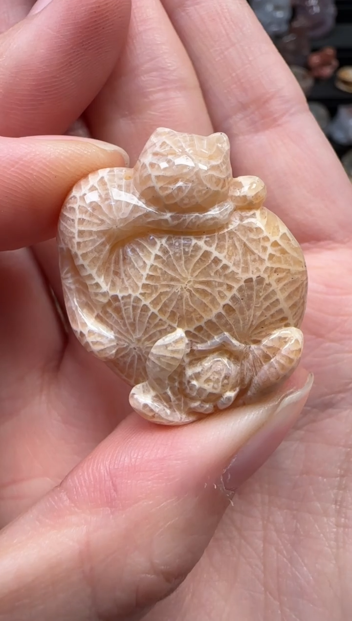 颈饰未镶嵌硅化珊瑚（珊瑚玉）385