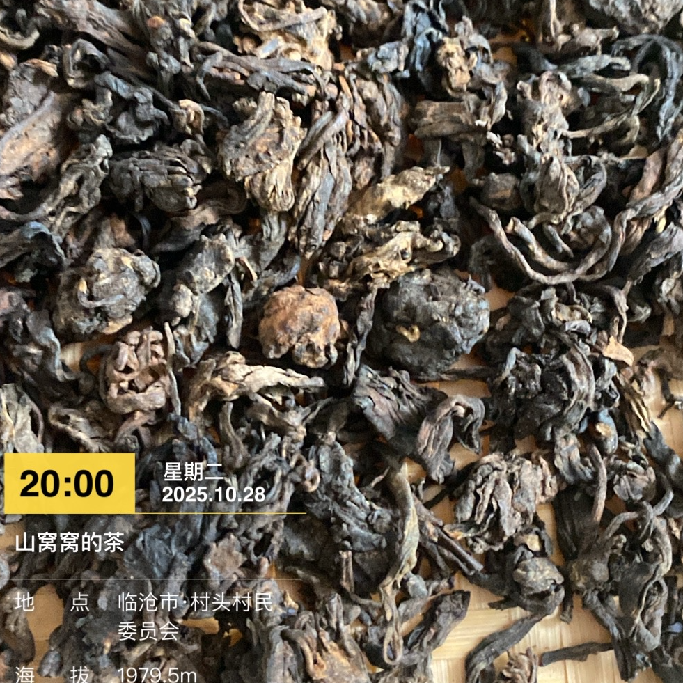 【山窝窝的茶叶】3110号2016神树林古树熟茶老茶头250克 /袋