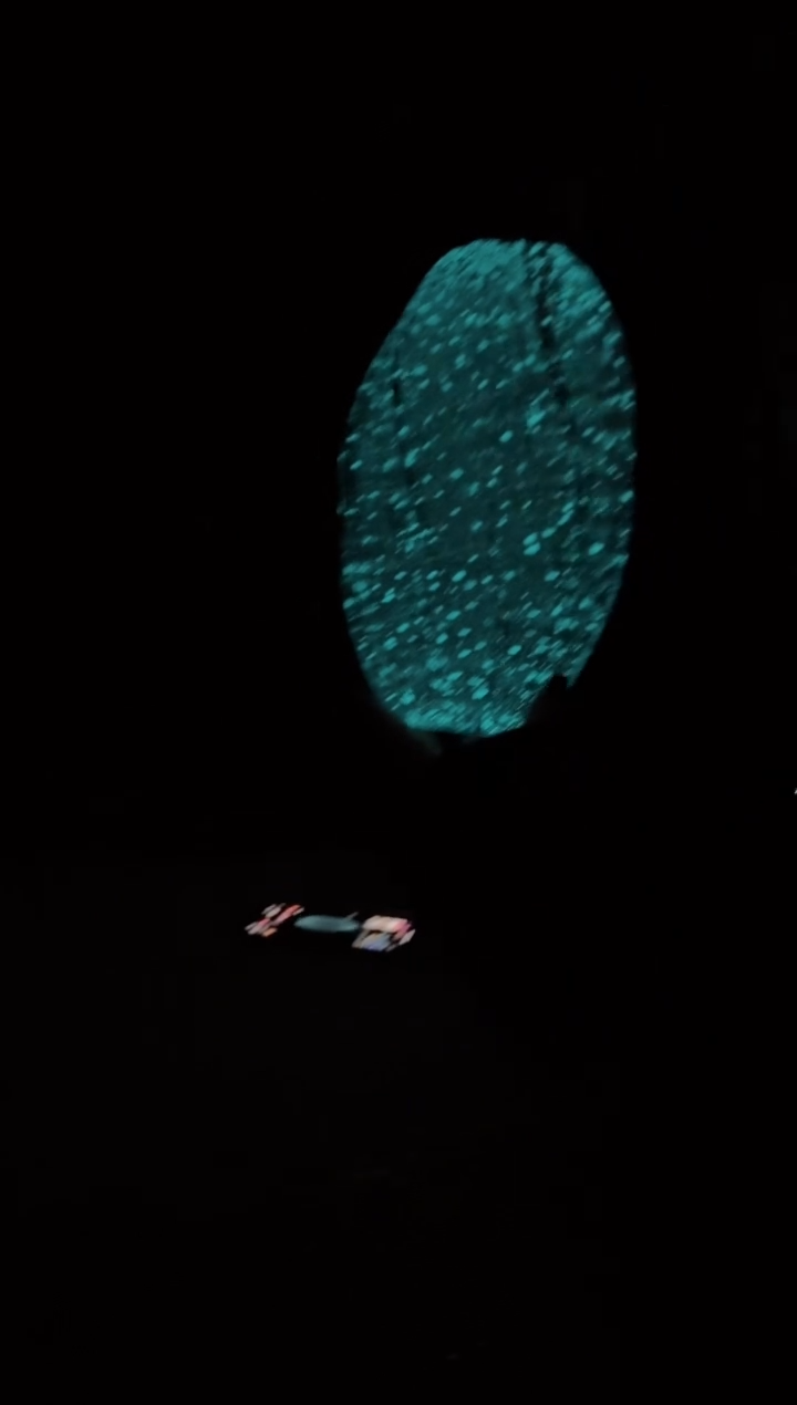 【闪购商品】无铅玻璃洛芙花器-l-早