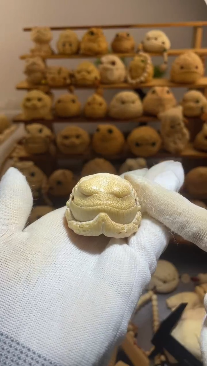 竹4+悟道111111111111