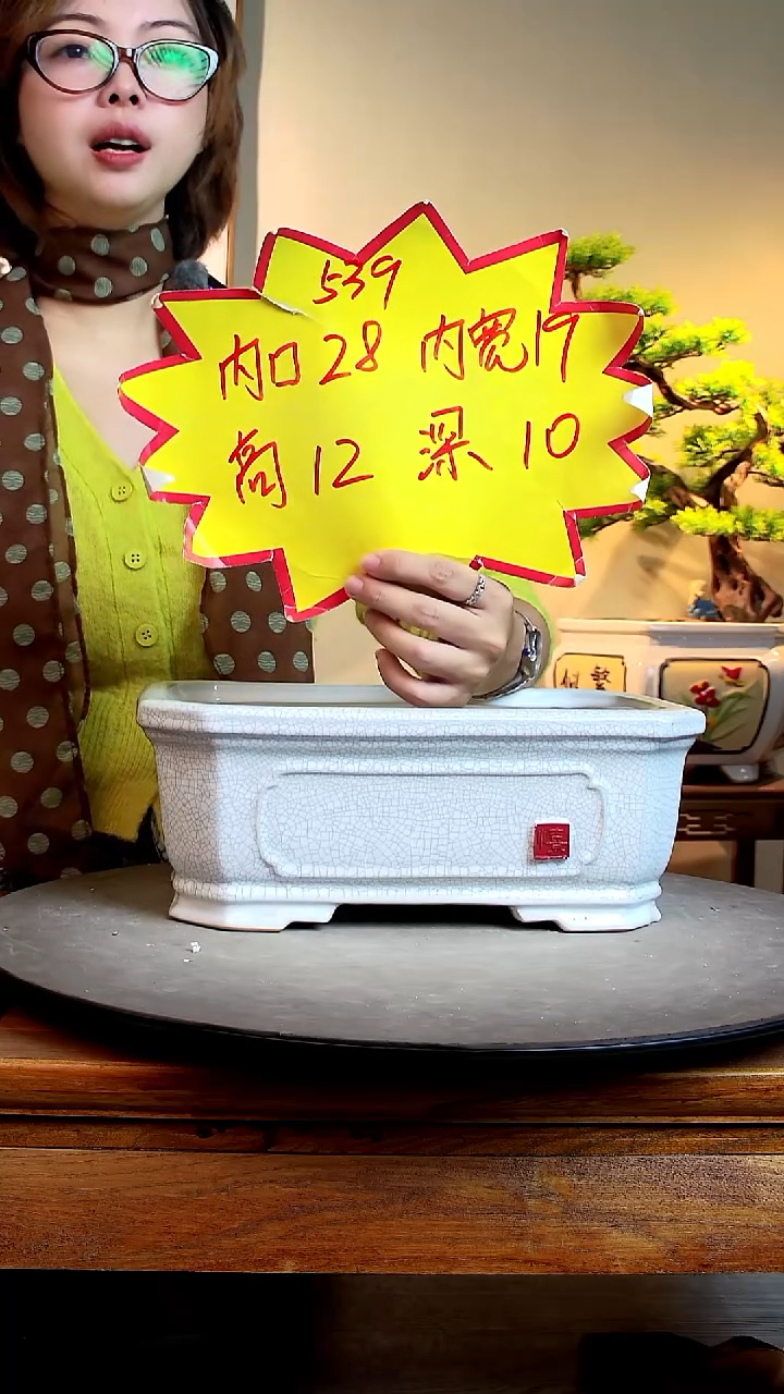 539白色0000000000000000000000000