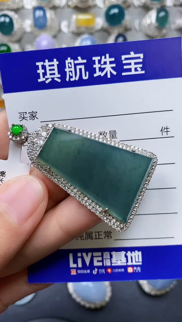 【闪购商品】翡翠颈饰银S925镶嵌0206