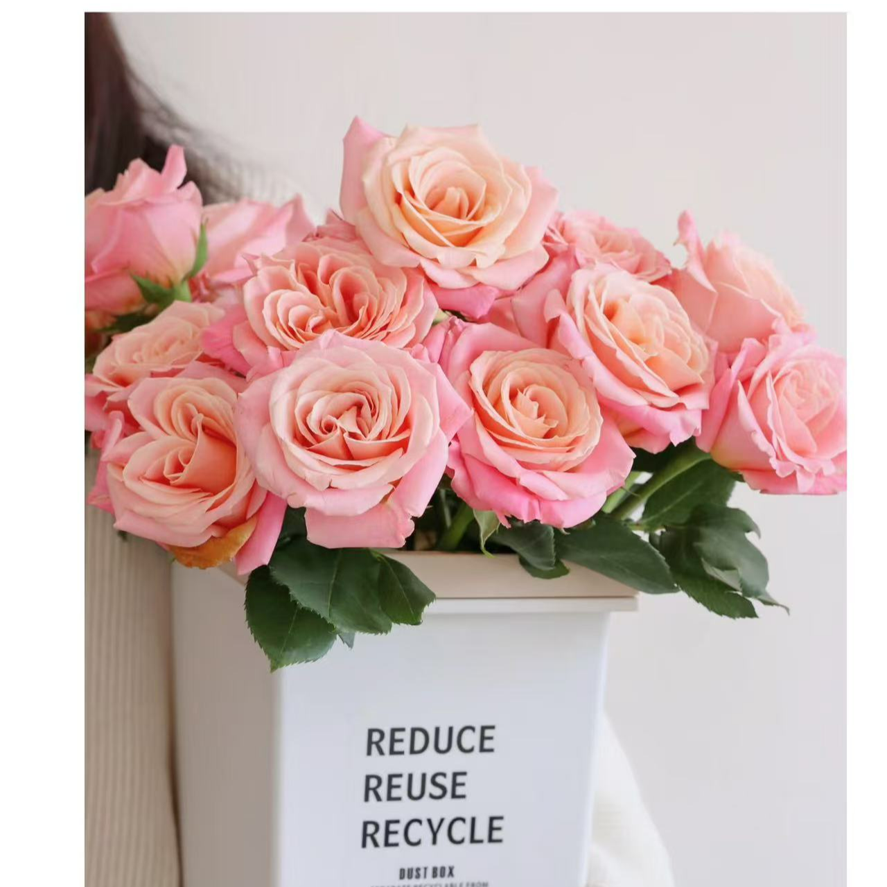 【朱小姐单头玫瑰】一单包邮两单及以上发顺丰或德邦送保鲜剂