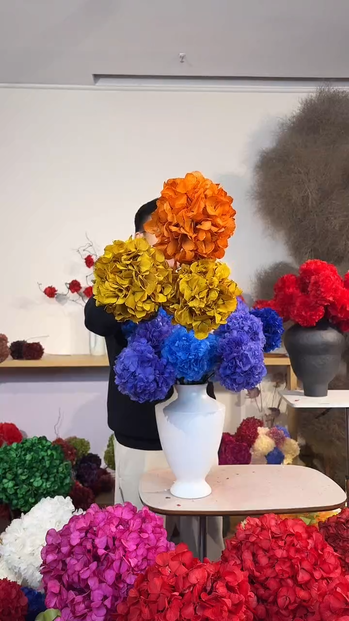 吸色永生大叶绣球花球3枝  黄2/橙1