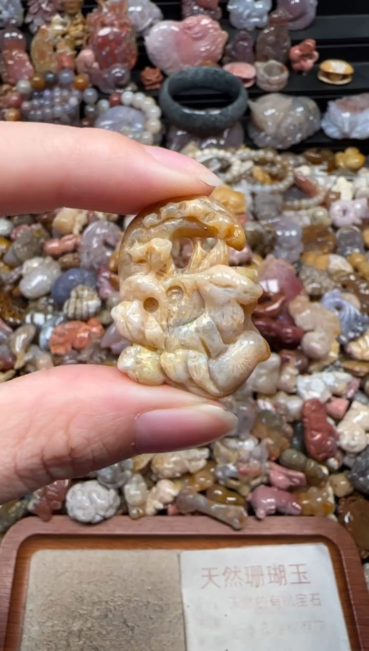 颈饰未镶嵌硅化珊瑚（珊瑚玉）255