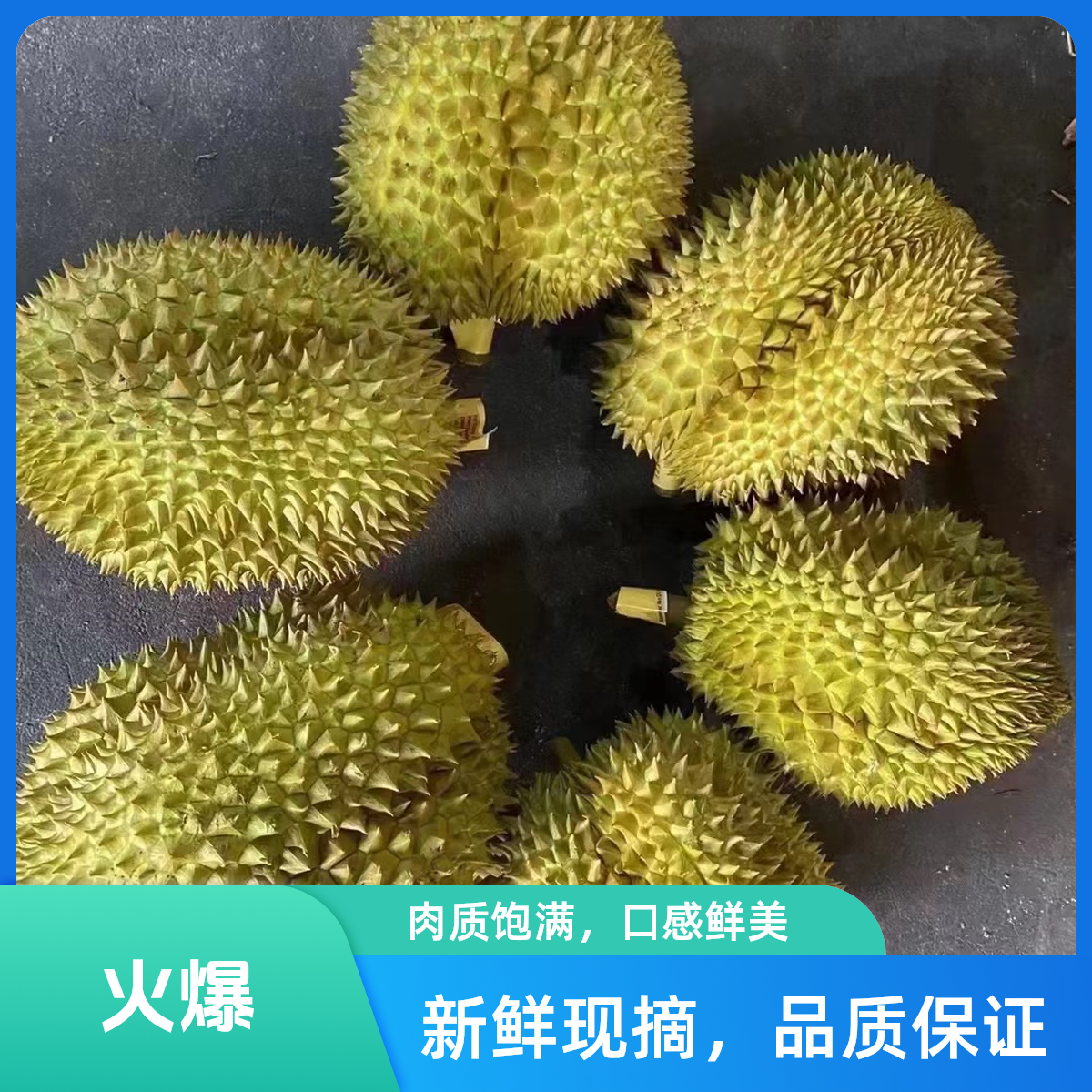 泰国金枕鲜榴莲核小1000g-5000g项城榴莲同城配金枕泰国