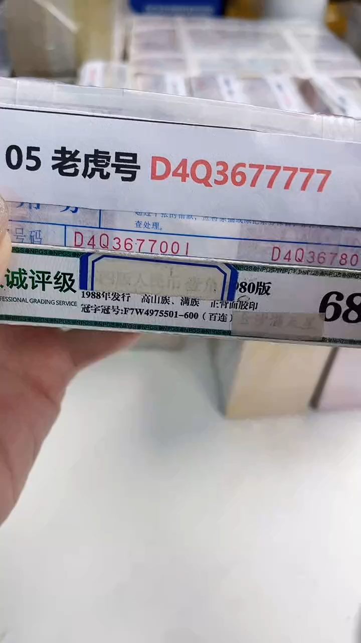 M 05 老虎号 D4Q3677777