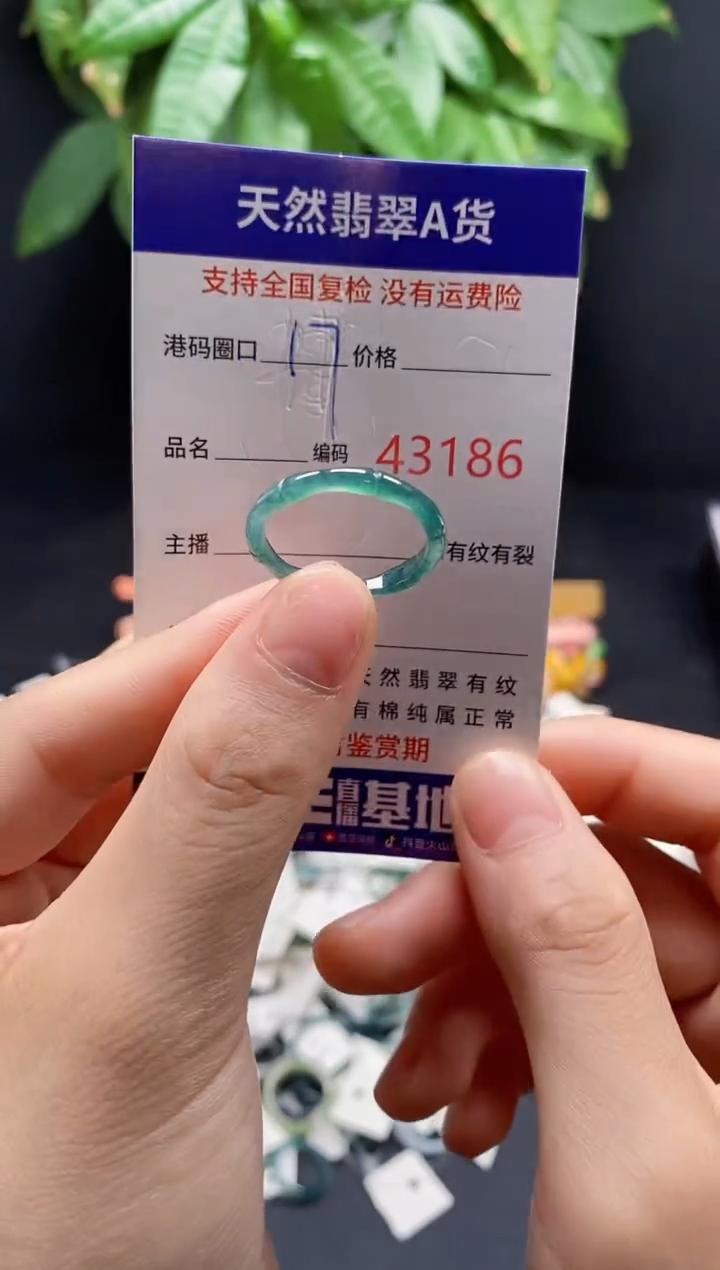 翡翠戒指未镶嵌天然翡翠戒圈3186