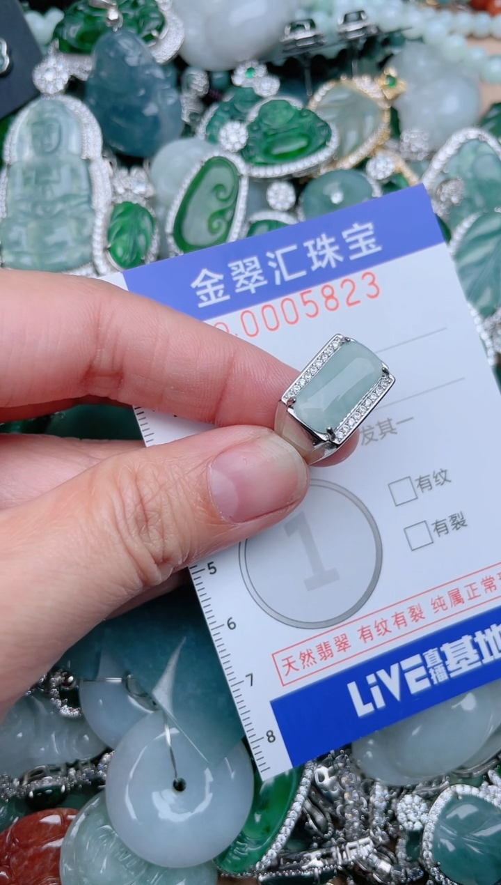 【闪购商品】翡翠颈饰未镶嵌5823.....