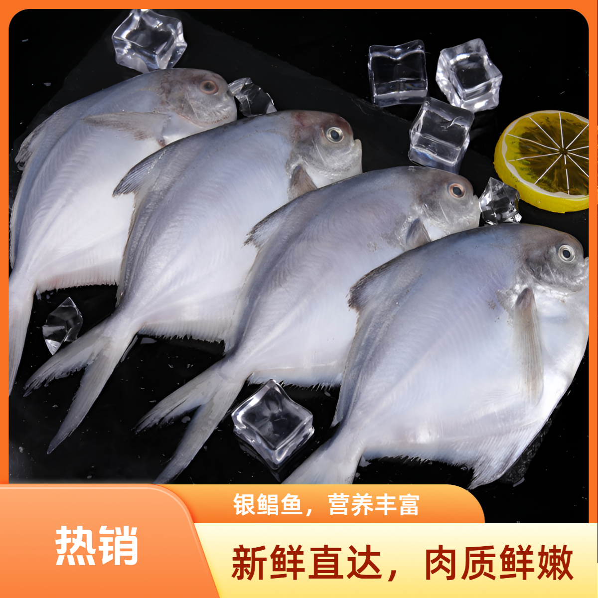 【到手5斤】深海海捕新鲜速冻银鲳鱼顺丰京东冷链包邮