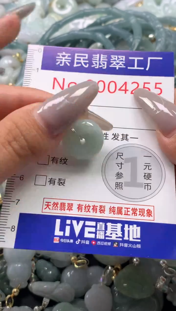 颈饰未镶嵌翡翠4255