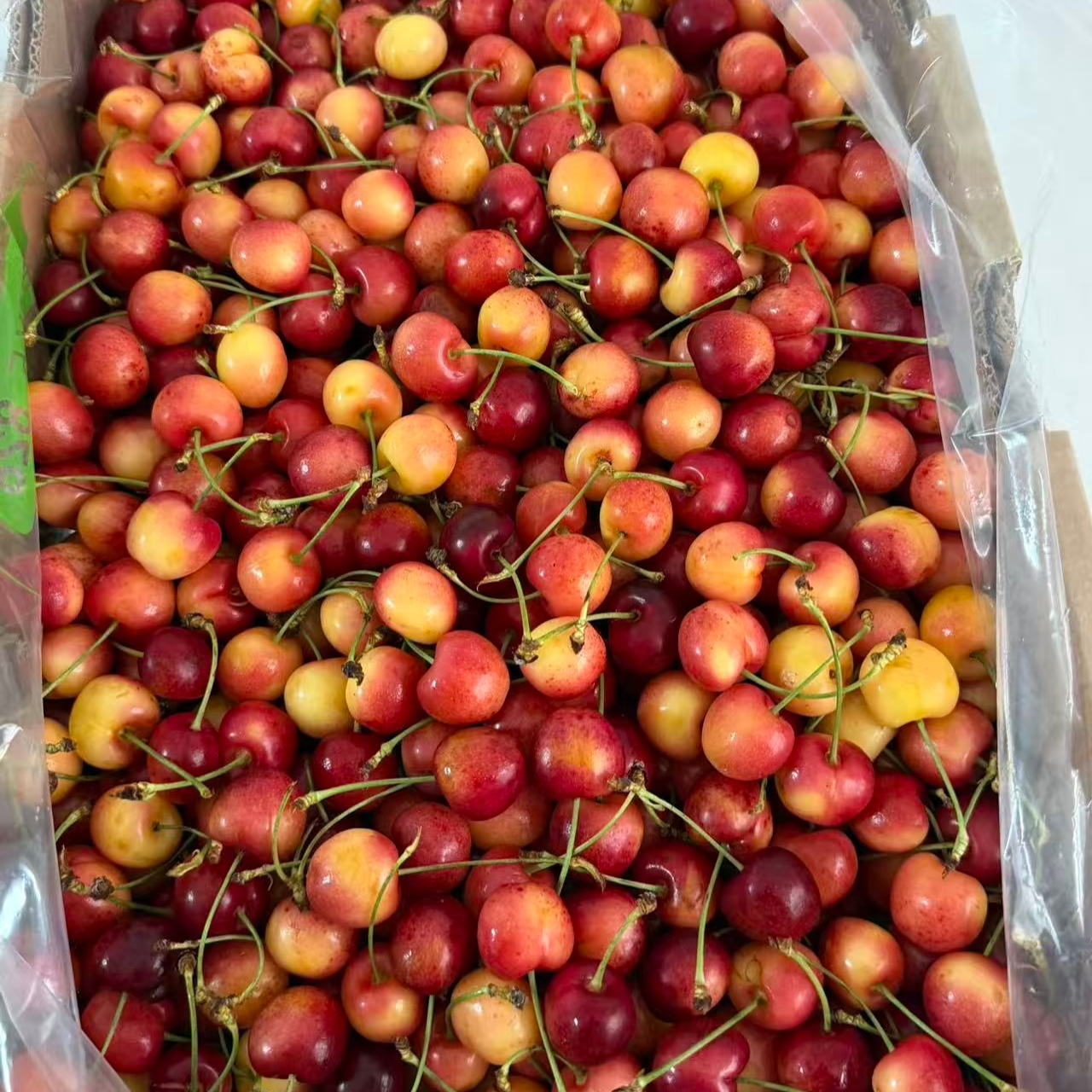 【闪送到家】智利空运 单J 皇家雷尼尔 车厘子  小糖豆 几乎纯甜75元1斤雷尼尔