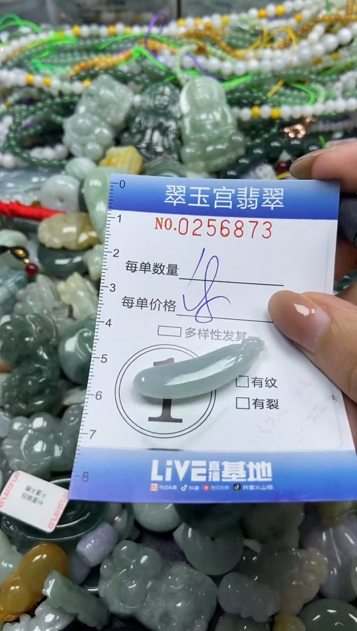 颈饰未镶嵌翡翠闪购C0256873