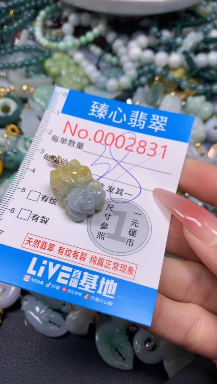 【闪购商品】翡翠颈饰未镶嵌含绳0002831