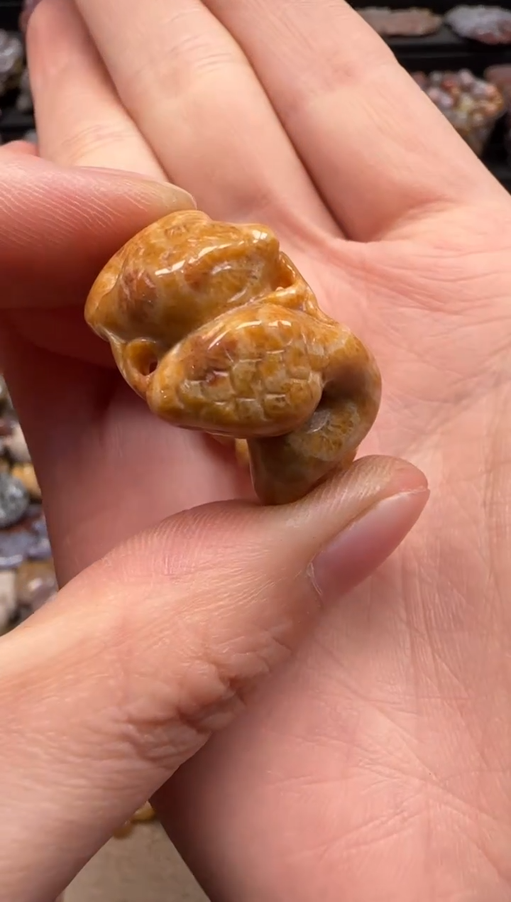 【闪购商品】硅化珊瑚（珊瑚玉）颈饰未镶嵌942