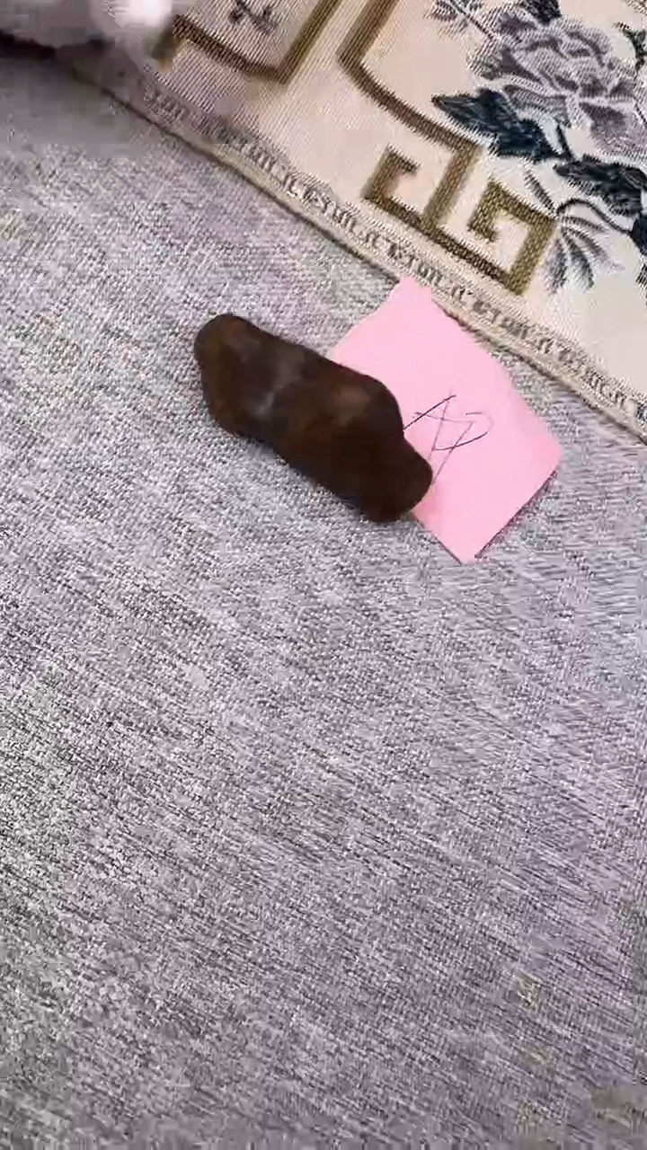 【闪购商品】沉香手把件8克+板头定制多样性发货一份