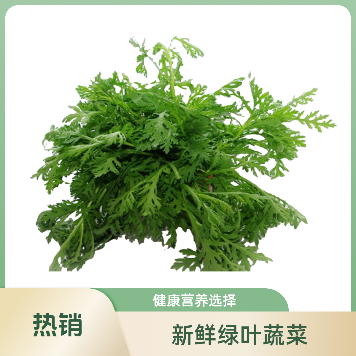 茼蒿约500g
