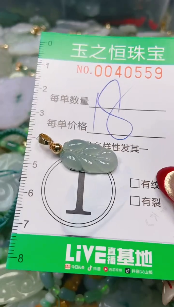 【闪购商品】翡翠颈饰未镶嵌闪购0040559