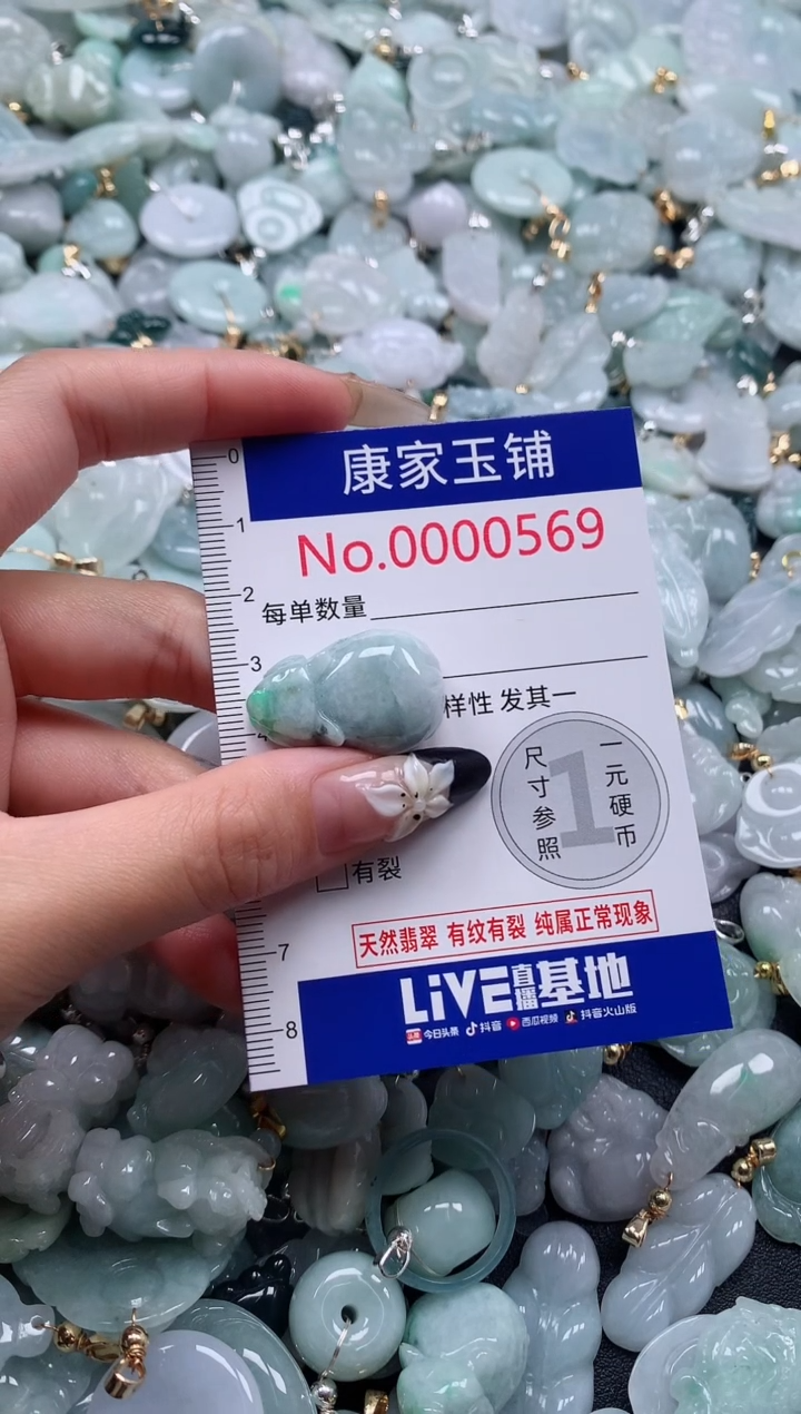 颈饰未镶嵌翡翠569