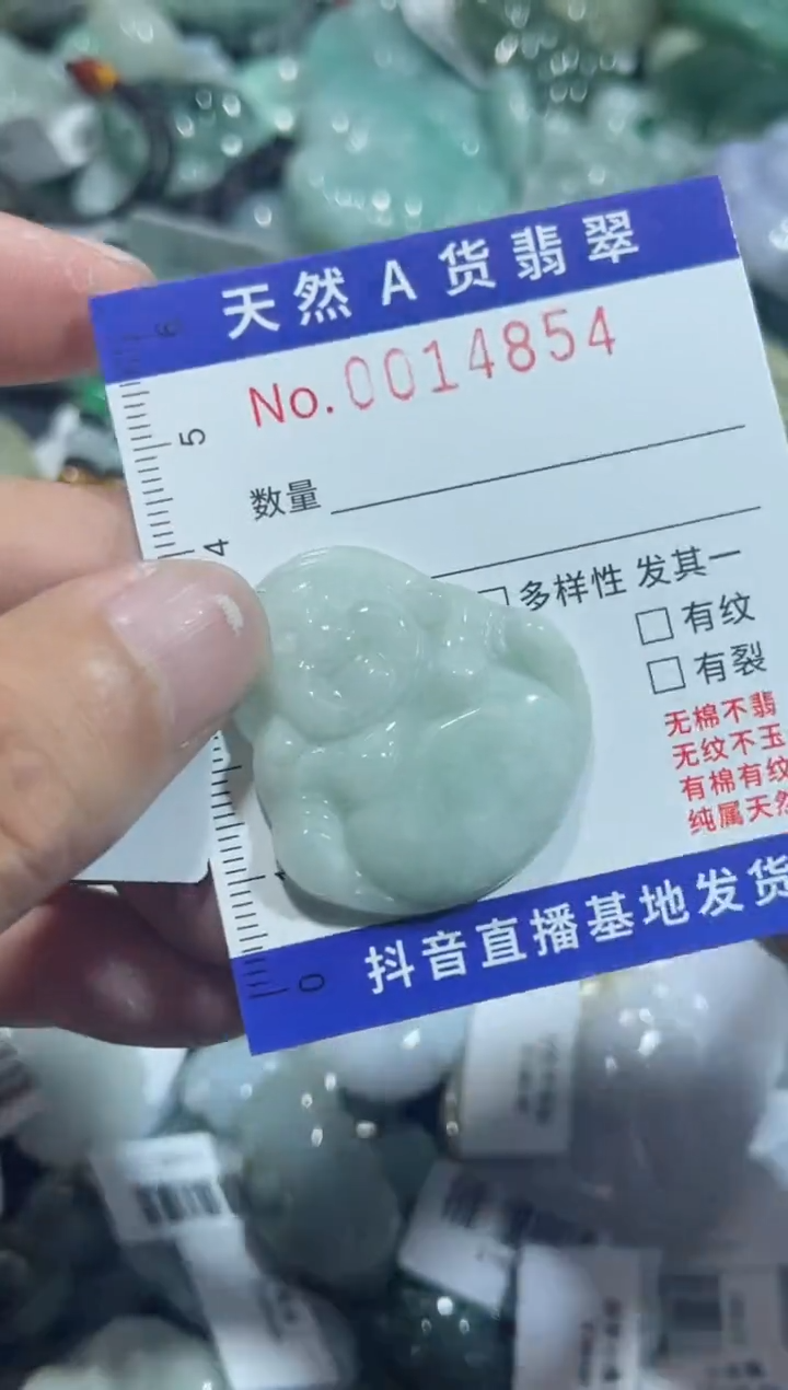 【闪购商品】翡翠颈饰未镶嵌00014854