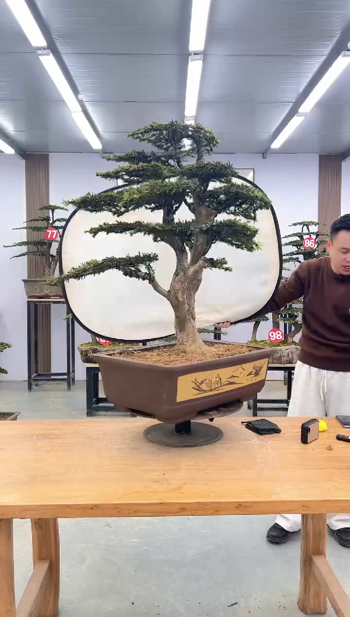 无花朵0000000000000000000