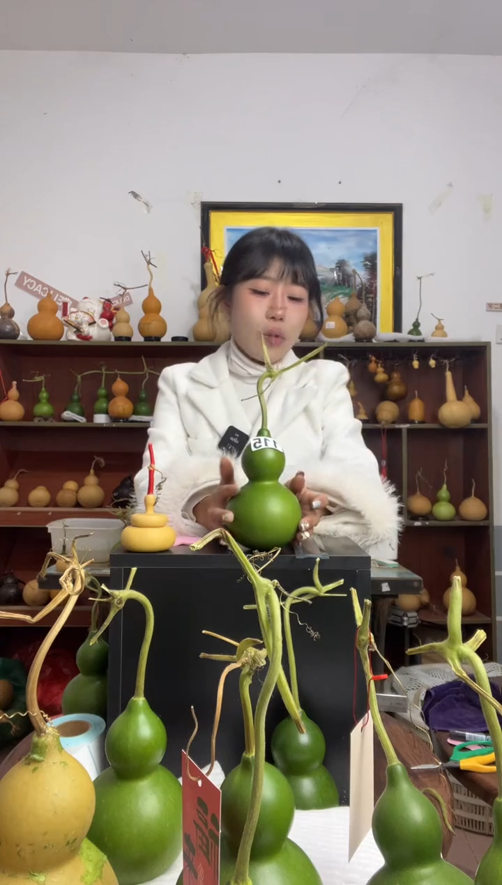 115天然葫芦摆件 一物一拍龙头不保售后