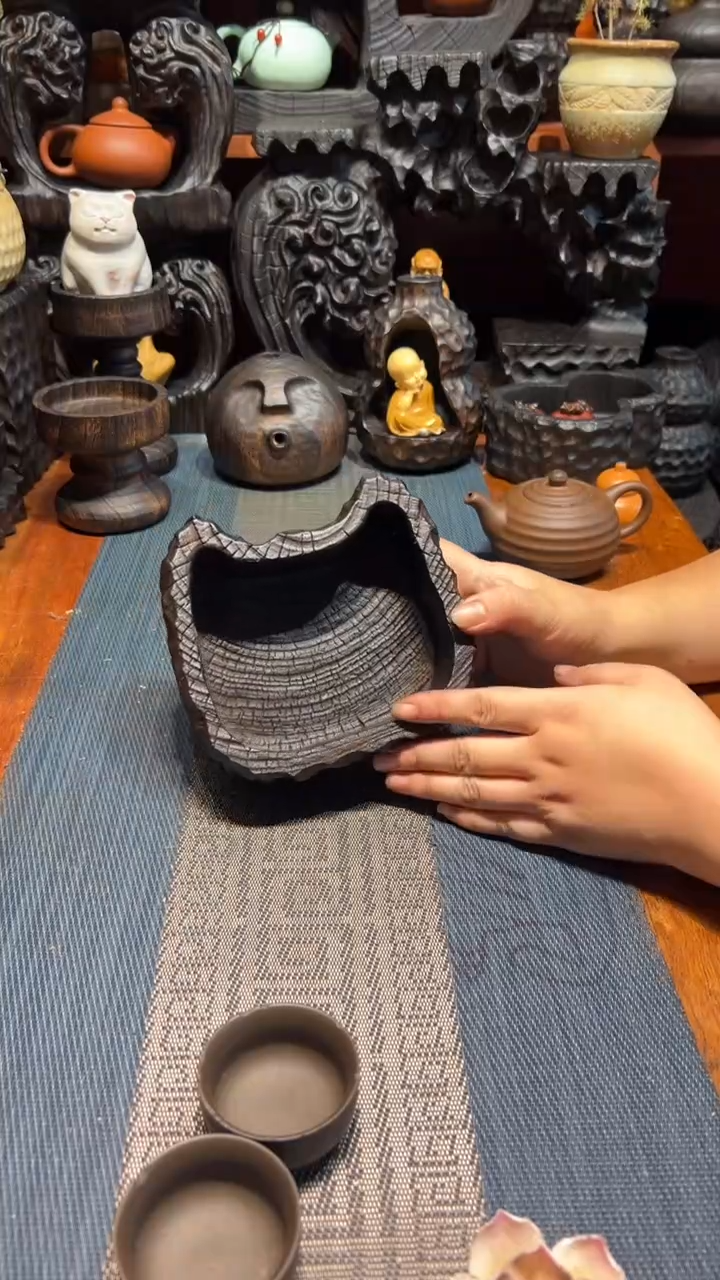 香樟木香樟木一物一拍