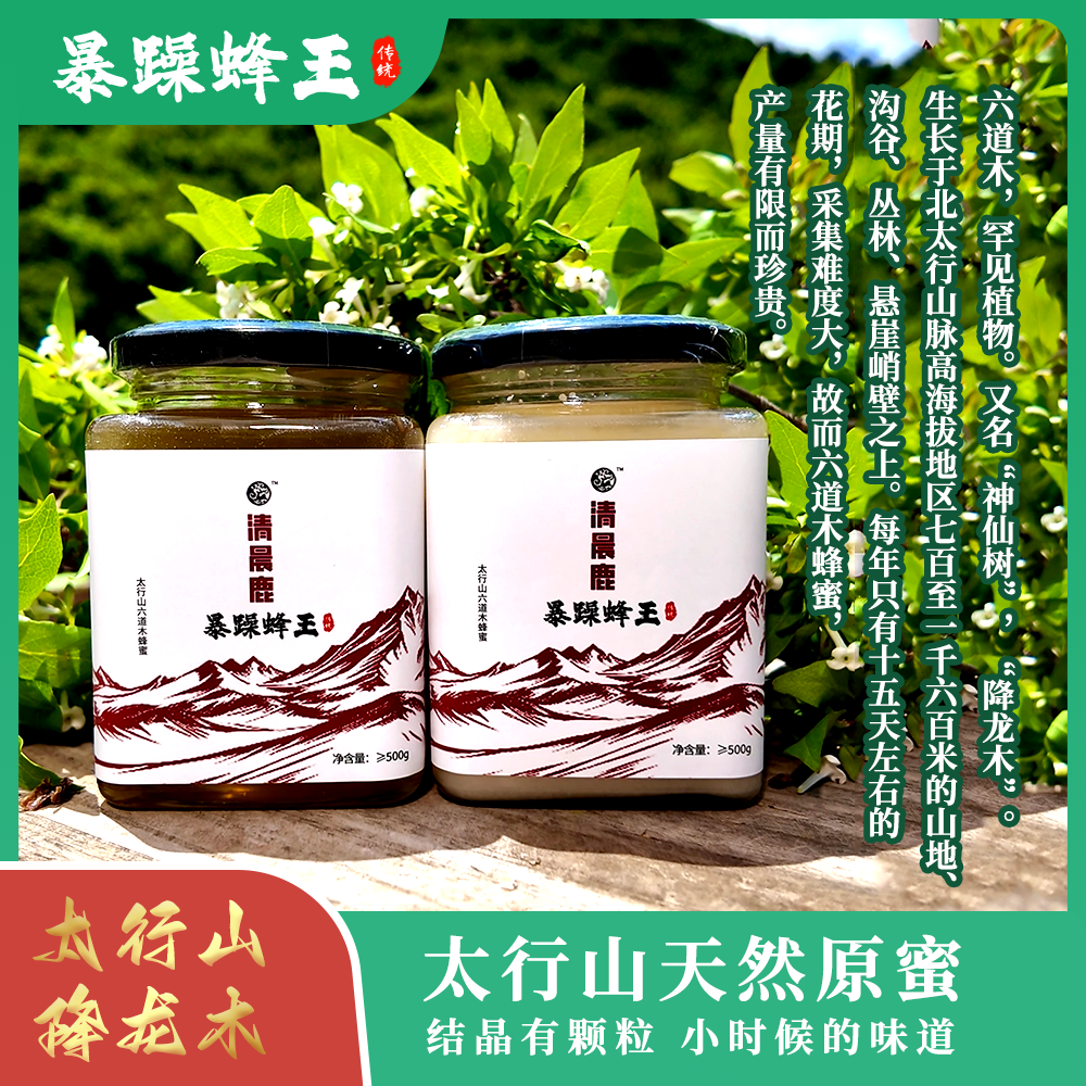 【太行山六道木蜂蜜】（三斤装）天然蜂蜜六道木蜂蜜水降龙木原蜜口感