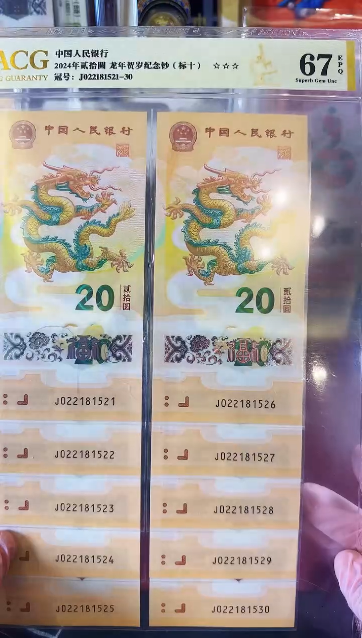 【闪购商品】塑料2024龙钞02218521-30标十