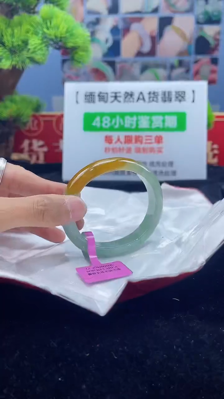 【闪购商品】翡翠手镯（贵妃镯）未镶嵌手镯5