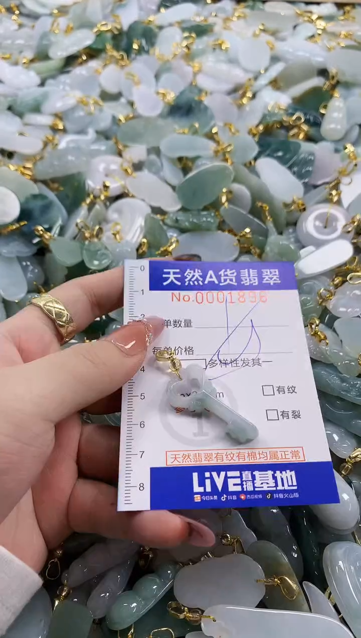 颈饰未镶嵌翡翠天然A货翡翠