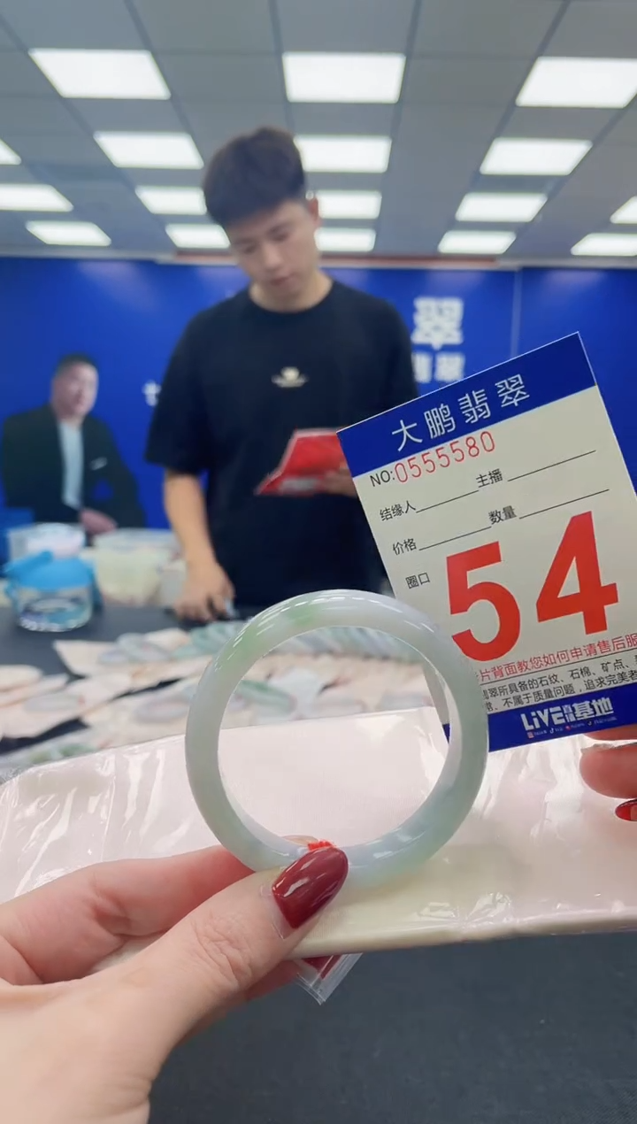 未镶嵌手镯翡翠AAAAAAAAA