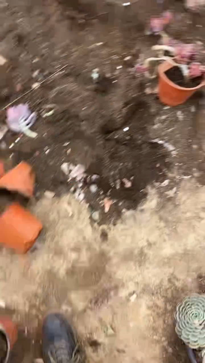 【闪购商品】21号三颗大红袍￥86