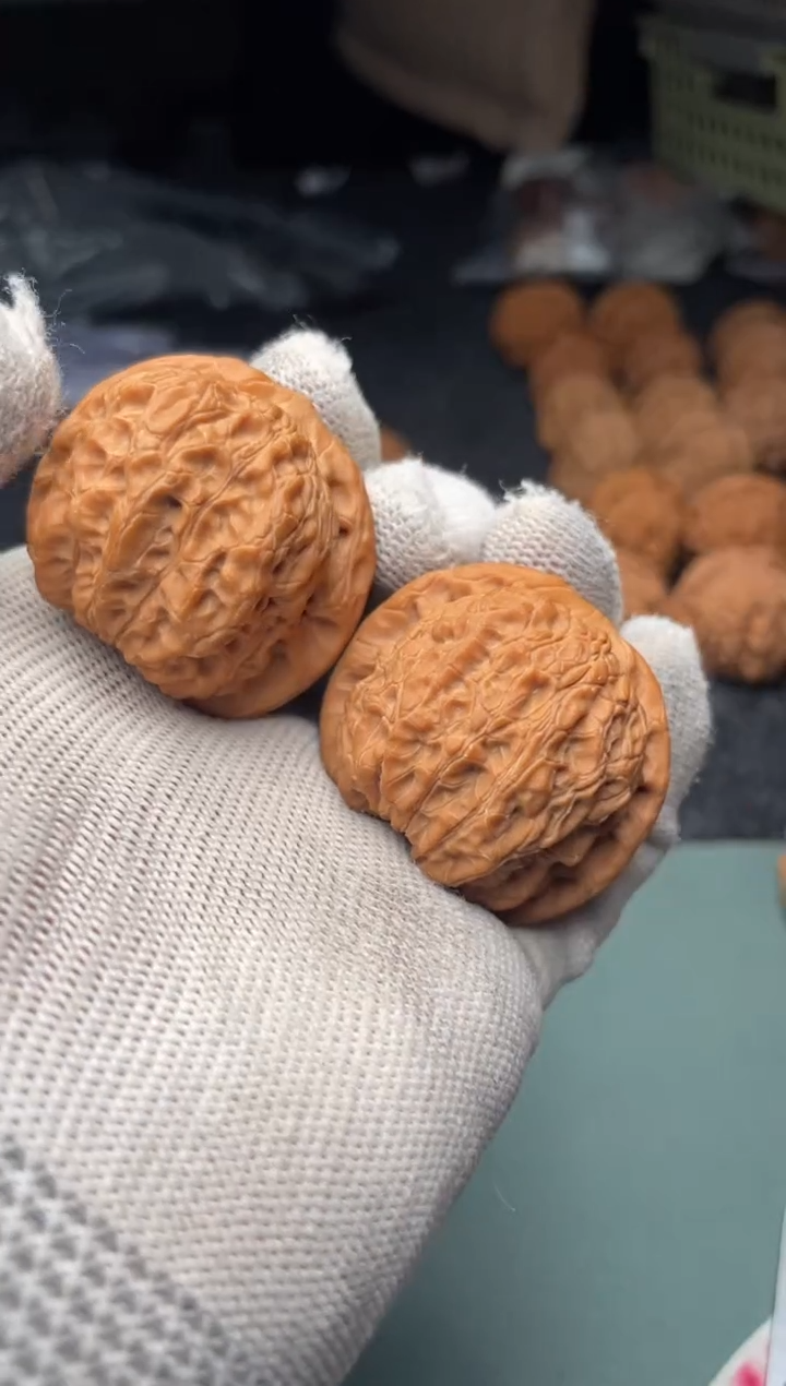 核桃a204  血麒麟 39尺