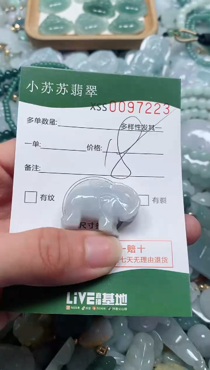 【闪购商品】翡翠颈饰未镶嵌闪购商品0097223