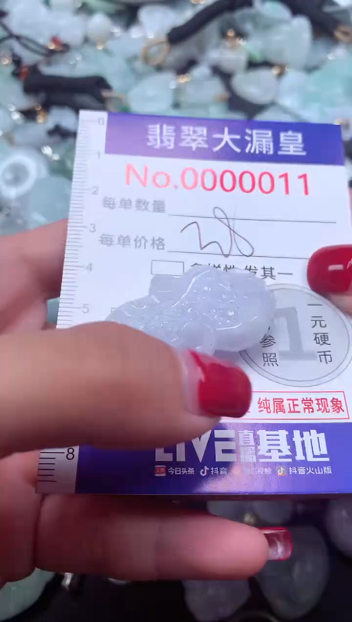 颈饰未镶嵌翡翠11