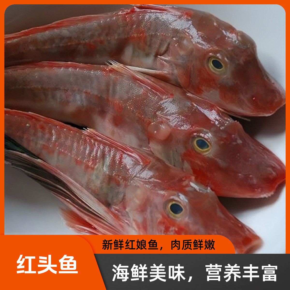 【纯野生红头鱼】 红娘子鱼海捕海鲜 大小不一 顺丰发货