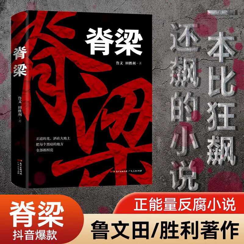 脊梁小说 鲁文田 正能量反腐纪实文学官场小说畅销 完整版无删减