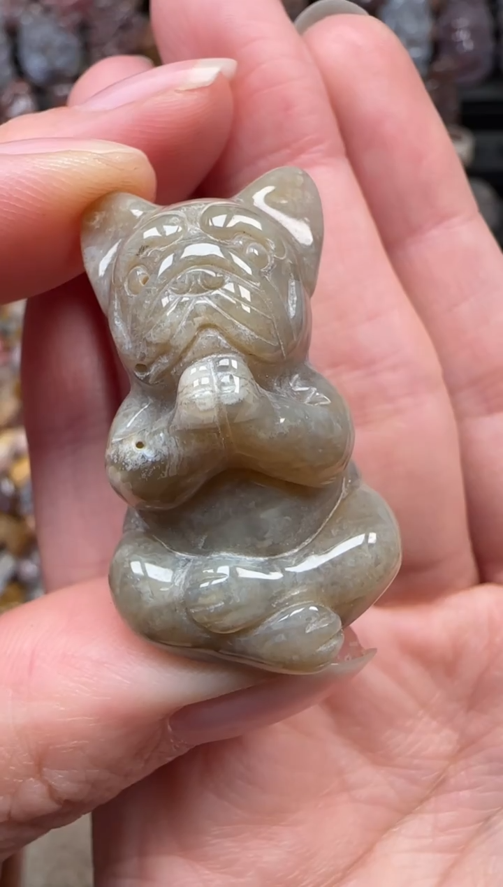 颈饰未镶嵌硅化珊瑚（珊瑚玉）318