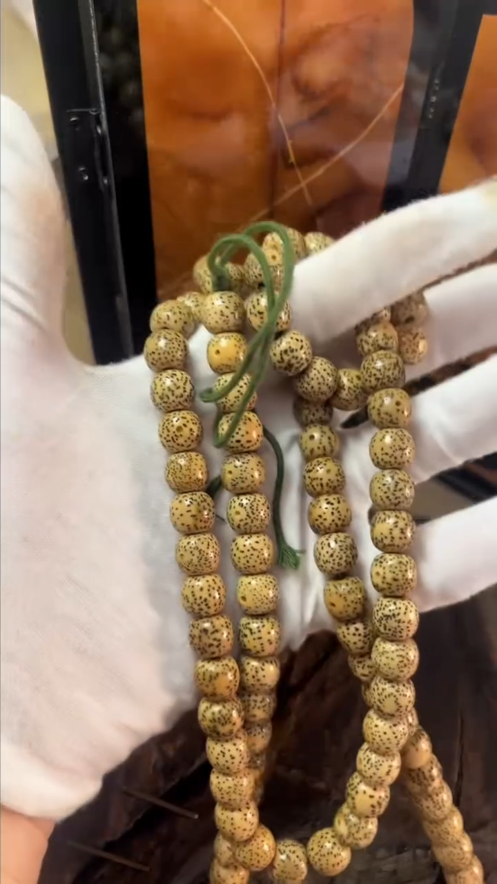 吊坠星月菩提精工级陈籽10*9桶珠长串