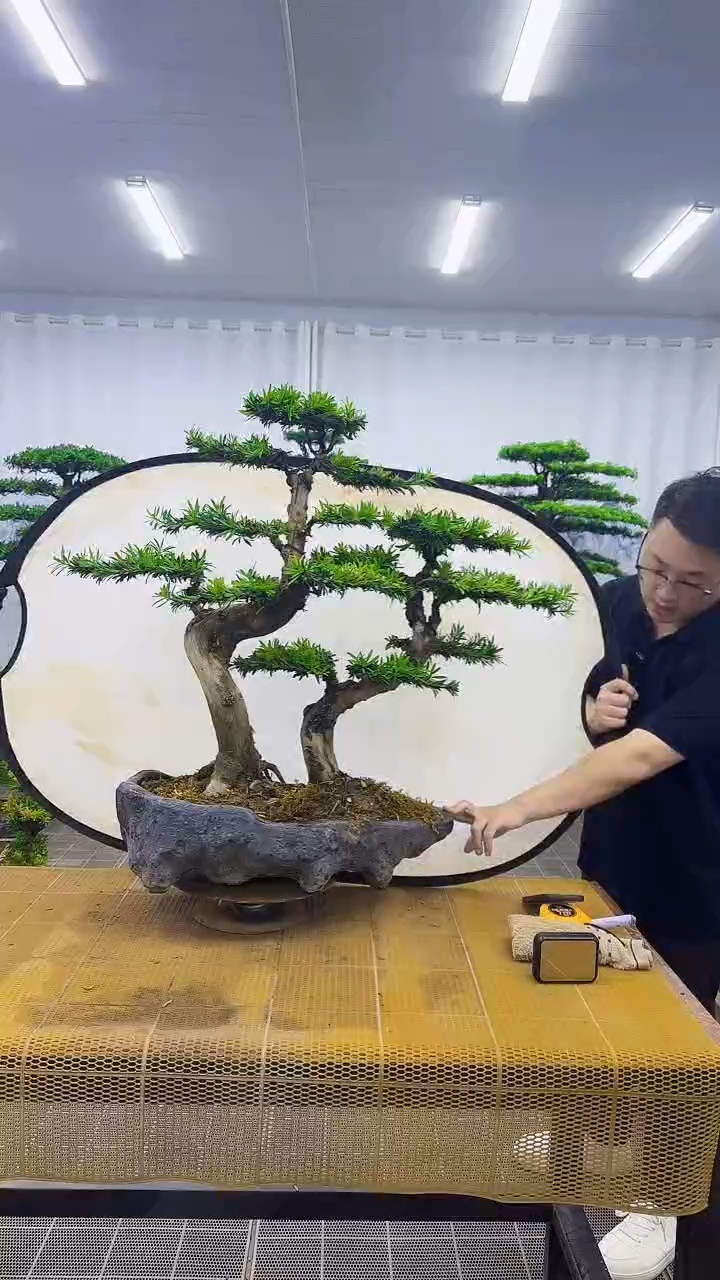 无花朵000000000000