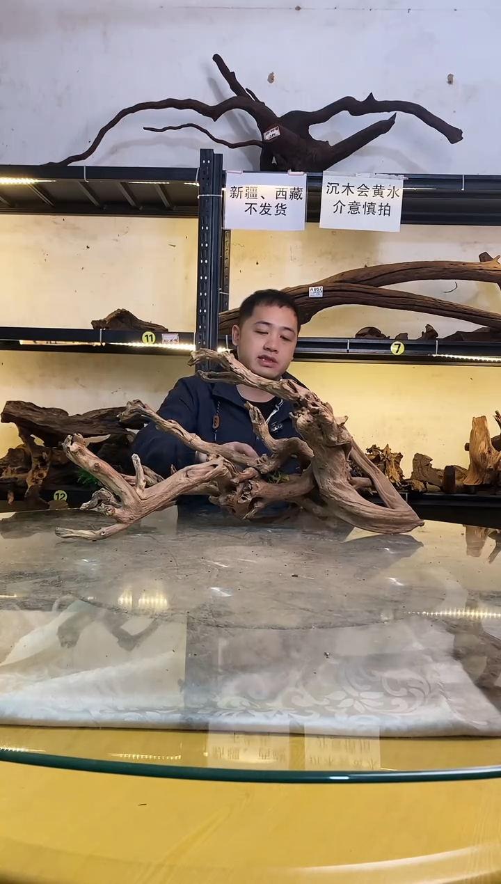 【闪购商品】柚木木艺149鱼缸造景泡沉木