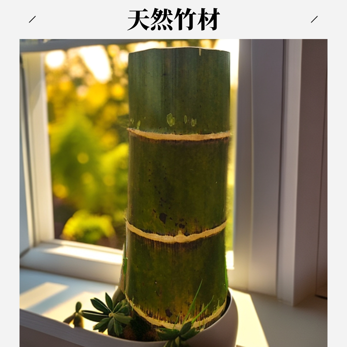 竹节竹筒竹花盆花筒窗台阳台简约摆件办公桌花筒创意花盆