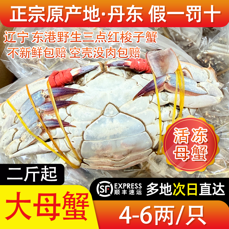 【冻蟹】丹东东港三点红大母蟹4-6两/只 两斤4-5只【保鲜】